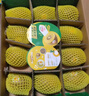佳沛（zespri）新西兰 阳光金奇异果12粒礼盒特大果单果约122-146g 猕猴桃 水果 实拍图