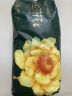 五羊（FIVERAMS）拉拉裤薄薄芯成长裤XL84片(12-17kg)婴儿尿不湿透气不闷超薄全包【品牌直供 安心品质】 实拍图