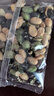 西域美农高蛋白三色豆550g 粗粮薄盐干炒黄豆黑豆青豆非油炸 独立小包装 实拍图