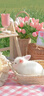 名创优品（MINISO）一次性洗脸巾珍珠纹洗面巾洁面巾干湿两用100抽*3包 15x20cm 实拍图
