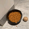 派乐特猫碗陶瓷猫粮碗狗碗猫食盆猫咪饭碗饭盆大水碗斜口碗宠物用品1个 实拍图