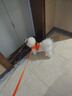 酷奇宠狗绳宠物狗狗牵引绳小型犬中型犬狗链狗绳子胸背带泰迪溜猫遛狗绳 橙色 大号 建议10-14斤内 实拍图
