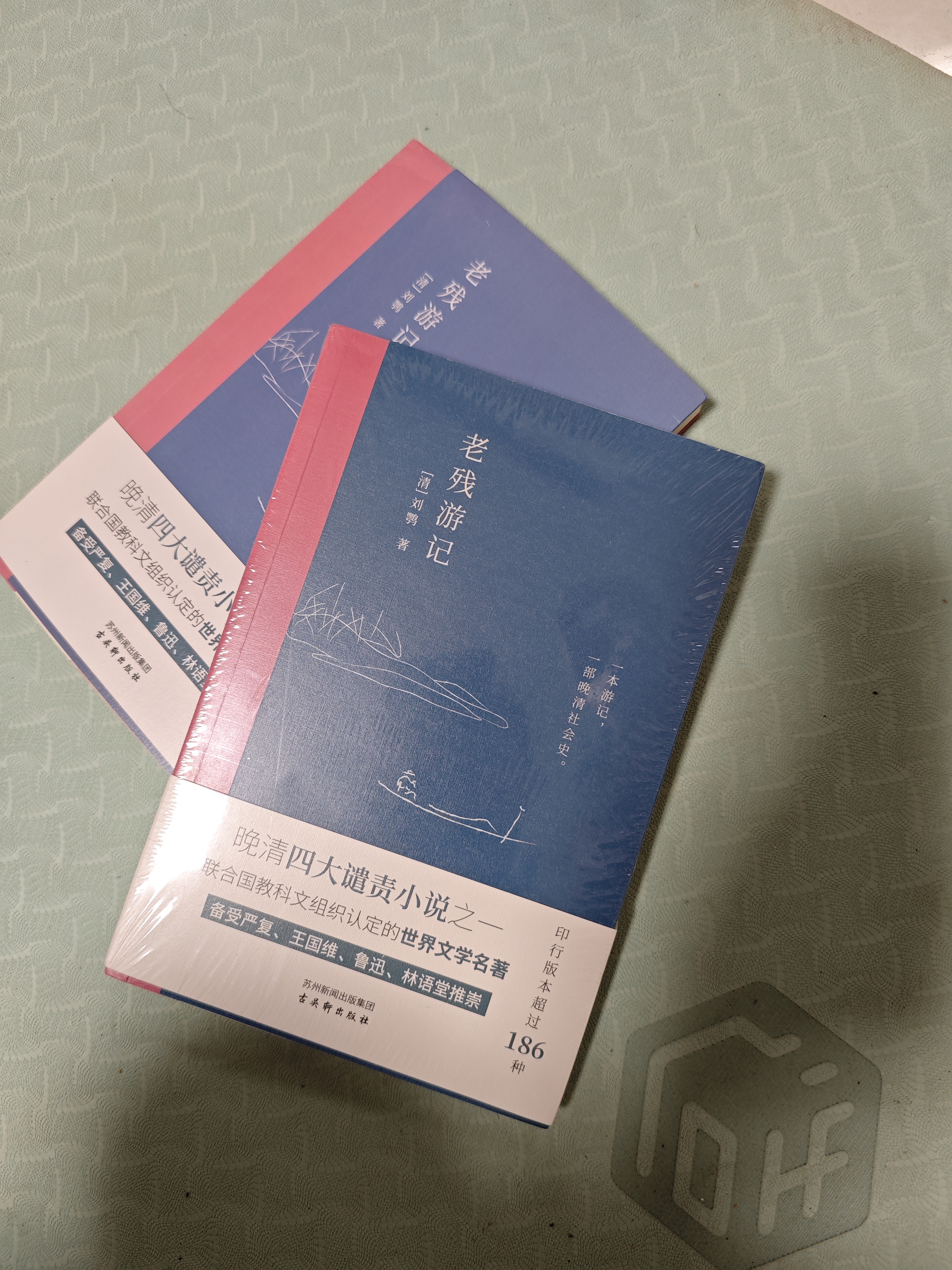 老残游记 全新无删节版 完整收录《老残游记》《老残游记二集》《老残游记外编》 晚清四大谴责小说之一 实拍图