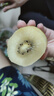 佳沛（zespri）新西兰 阳光金奇异果12粒礼盒特大果单果约122-146g 猕猴桃 水果 实拍图