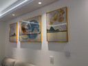 诗六艺家饰客厅装饰画北欧现代简约沙发背景墙挂画三联画大气轻奢壁画晶瓷画 福禄有幸（铝合金外框） 晶瓷画左右50*70+中间100*70亮面 实拍图