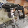 【京东物流】茶壶套装整套茶具大容量玻璃茶杯带滤网耐高温泡茶具 1000ML泡茶壶 1个 实拍图