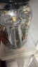 农香森黑金刚南瓜子500g罐装椒盐味新货熟黑瓜籽仁年货坚果炒货休闲零食 实拍图