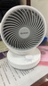 艾美特（AIRMATE）空气循环扇家用节能小型落地电风扇四季循环对流换气桌面小风扇大风量宿舍台式摇头轻音电扇 X28 实拍图