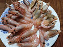 鲜京采 原装进口格陵兰北极甜虾刺身2斤装 90-150只/kg 即食 MSC认证 实拍图