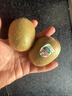 佳沛（zespri）绿奇异果经典果6粒 单果约86-103g   水果猕猴桃  源头直发 实拍图