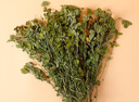喜帅烘干紫花苜蓿草 幼兔兔粮牧草干草龙猫荷兰猪磨牙饲料毛重1kg 实拍图