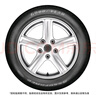 固特异（Goodyear）汽车轮胎 205/55R16 91V ATM 安乘 原配福睿斯 实拍图