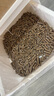派乐特 兔子木粒小宠物兔笼垫料吸水龙猫荷兰猪仓鼠砂吸尿木屑用品2.5kg 实拍图