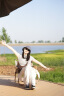 适马（SIGMA）56mm F1.4 DC DN｜Contemporary 半画幅大光圈定焦镜头 人像特写（适马56 f1.4索尼E卡口） 实拍图