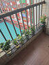 京维美居花架阳台栏杆绿萝多肉花架置物架铁艺悬挂收纳摆放护栏窗台花盆架 圆角设计150*20*12CM 实拍图