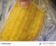 傲货白糯玉米棒10支真空包装新鲜甜粘黏非转基因生鲜火锅食材 实拍图