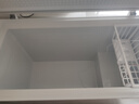 志高（CHIGO）小冰柜家用冷冻小型一级节能省电迷你卧式冷藏保鲜储母乳冷柜 【一级能效 全国联保】 330L 单温单门 实拍图