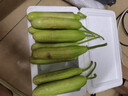 低卡早餐奶油黄瓜减脂夏季零食白玉水果黄瓜脆甜可口生鲜蔬菜 尝鲜款 4根左右 泡沫箱发货 1斤 实拍图
