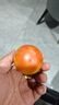 京鲜生 山东铁皮草莓西红柿 净重4.5斤 单果60-150g水果番茄源头直发 实拍图