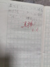维多利亚旅行者运动套装男夏季健身服跑步速干衣篮球服羽毛球服冰丝短袖训练服 实拍图