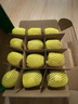 佳沛（zespri）新西兰  阳光金奇异果10粒礼盒巨大果单果约144-175g 水果 猕猴桃 实拍图