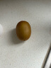 佳沛（zespri）新西兰  阳光金奇异果16粒礼盒经典果单果约 77-103g 水果 猕猴桃 实拍图