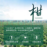 中茶普洱茶小青柑心柑情愿小青柑新会青柑熟普125g罐装礼袋送礼 实拍图