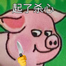 雷瓦（RIWA）男士卷发棒夹板 卷直两用烫发器电卷棒 刘海板防烫内扣 学生宿舍夹板男生用RB-8200 实拍图
