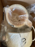 小熊（Bear）全玻璃恒温水壶 婴儿调奶器烧水壶热水壶 温奶器TNQ-E12X1 1.2L 实拍图