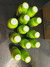 蘭芳園兰芳园0脂肪低糖原味冻柠茶300ml瓶装1*12柠檬茶 茶饮料 整箱 实拍图