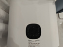 霍曼宠物智能烘干箱宠物烘干机猫咪自动吹干箱狗狗洗澡吹风机家用 实拍图