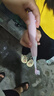 舒客电动牙刷舒克智能清洁成人/情人节送男友/女友声波5档T3冰岛白+挪威蓝 闺蜜生日礼物 实拍图