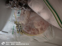 上鲜 鸡全腿 净重4.8斤 冷冻 鸡大腿烤鸡腿炸鸡腿鸡肉 源头直发 实拍图