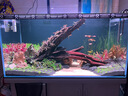 尼特利（NETLEA）专业LED筒灯全光谱灯爆藻灯植物养殖灯 【90W水草版】支架套餐【支架6-12mm】 实拍图