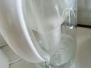 碧然德（BRITA）家用净水壶 滤水壶滤芯 MAXTRA+LE 去水垢专家滤芯 6枚装 实拍图