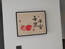 柳莺花燕免打孔电表箱装饰画现代简约客厅餐厅挂画电闸箱配电箱遮挡壁画 喜乐平安 50X40遮挡40X30表箱 上掀款 实拍图