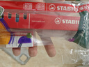 思笔乐（STABILO）德国进口 小学生钢笔高端墨囊矫正握姿练字书法商务办公钢笔 0.5mmEF尖 儿童开升学礼物 黑蓝色 实拍图
