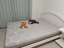 8H超大口径弹簧床垫 软硬双面乳胶黄麻护脊抗菌黑金刚床垫政府补贴 寂静灰-TD1 1.5米*2米 实拍图