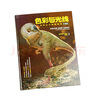 色彩与光线：写实主义绘画指南（珍藏版） 詹姆斯·格尔尼 贵哥翻译推荐（绘客出品）与艺术的故事媲美 看懂西方名画 人民邮电出版社 实拍图