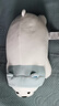 MINISO名创优品柴犬小猪弹力超柔娃娃可爱毛绒玩偶抱枕生日礼物公仔新年 白熊（39*18cm） 见详情图 实拍图