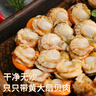 初鲜大号冷冻带黄扇贝肉400g30-50颗烧烤火锅食材 海鲜贝类端午聚餐 实拍图
