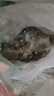 禧美海产 厄瓜多尔白虾 无冰净重3.6斤/盒(加大号)75-90只 盐冻 海鲜水产 实拍图