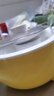 小熊（Bear） 酸奶机 家用全自动米酒机不锈钢内胆酸奶发酵 陶瓷4分杯 SNJ-B10K1 实拍图