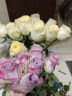 京东鲜花玫瑰花10枝送10枝鲜花共20枝颜色随机（热卖）昆明源头直发 实拍图