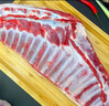 羊小柒宁夏滩羊肉生鲜 原切肋排2.4斤国产羊排骨清真羊肉 生鲜烧烤食材 实拍图