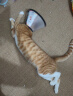 小李子德国进口配餐汤包营养补水成猫幼猫湿粮鸭肉鸡肉配方零食40g*8 实拍图