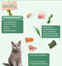 信元发育宝（SINGEN）美食森林成猫粮8kg 英短美短加菲通用型全营养宠物主粮16斤 DC30 实拍图