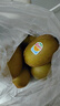 佳沛（zespri）新西兰  阳光金奇异果巨大果22粒原箱 单果重约144-175g 猕猴桃 实拍图