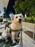 冠能狗粮小型犬成犬狗粮2.5kg 挑食美毛亮眼 全价狗粮  实拍图