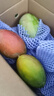 京鲜生 攀枝花凯特芒果 净重8.5斤 带箱9斤 单果400g+ 生鲜水果源头直发 实拍图